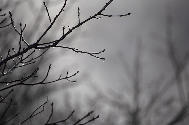 trở về xa&nbsp;lạ