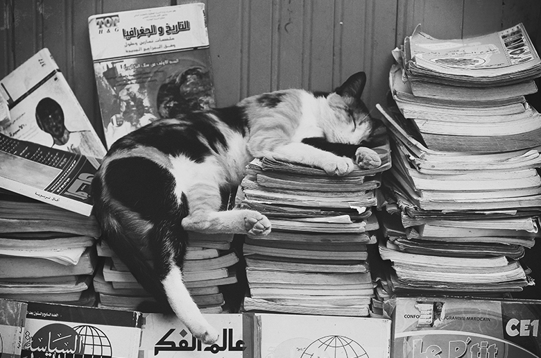 rồi ta sẽ quên hết, chuyện vui lẫn&nbsp;buồn